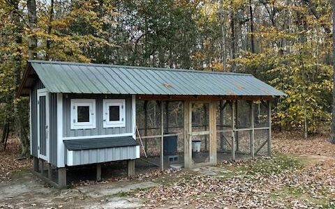 Chicken Coop and Run